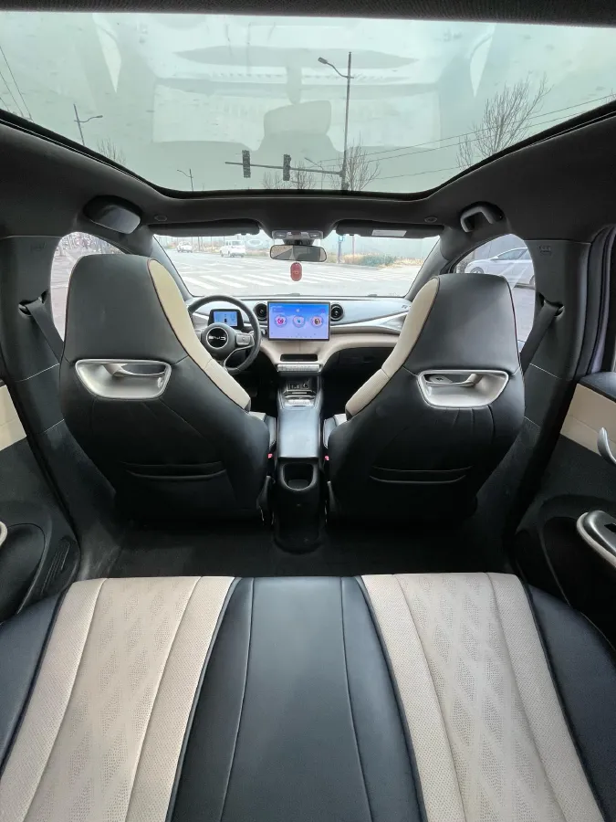 2023 BYD Dolphin BEV 44.928KWH,autocango,china used car exporter,china ev exporter,chinese used car exporter,chinese used ev exporter