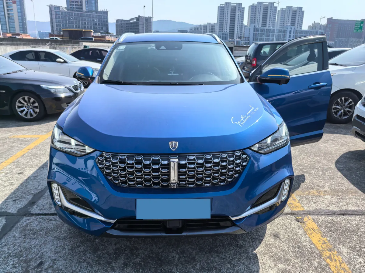 2020 WEY VV6 2.0T 227HP L4 7DCT,autocango,china used car exporter,china ev exporter,chinese used car exporter,chinese used ev exporter