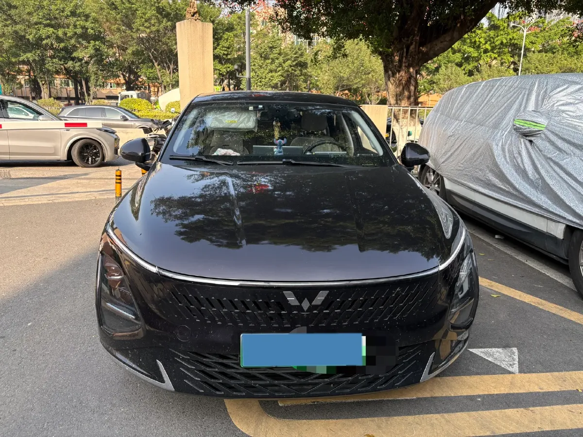 2023 WuLing XingGuang 1.5L 106HP L4 E-CVT PHEV 20.5KWH,autocango,china used car exporter,china ev exporter,chinese used car exporter,chinese used ev exporter