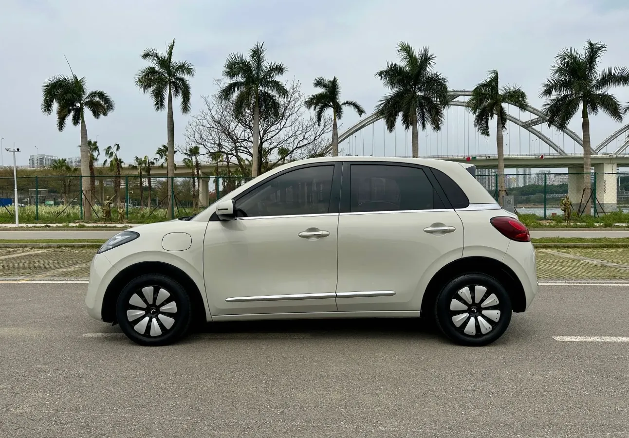 2023 WuLing BinGuo BEV 31.9KWH,autocango,china used car exporter,china ev exporter,chinese used car exporter,chinese used ev exporter