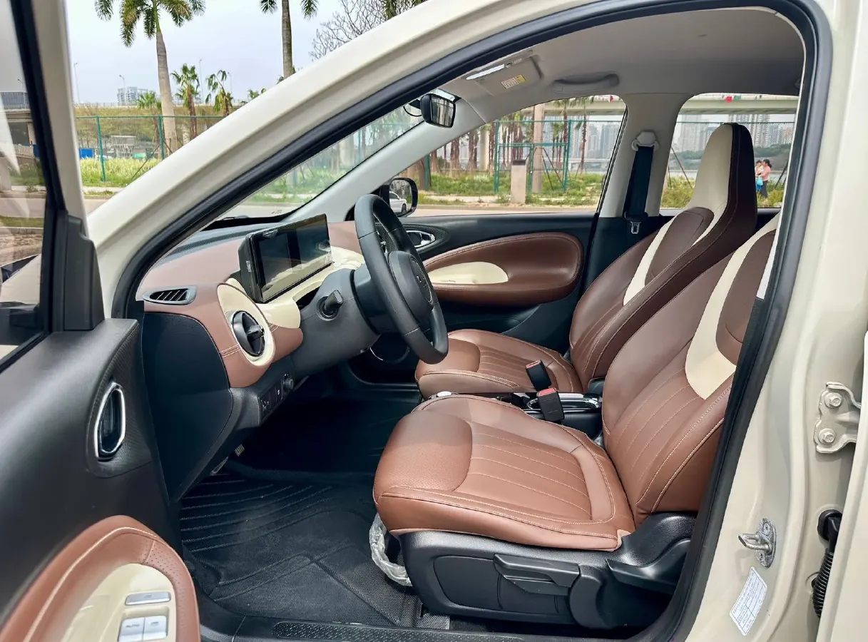 2023 WuLing BinGuo BEV 31.9KWH,autocango,china used car exporter,china ev exporter,chinese used car exporter,chinese used ev exporter