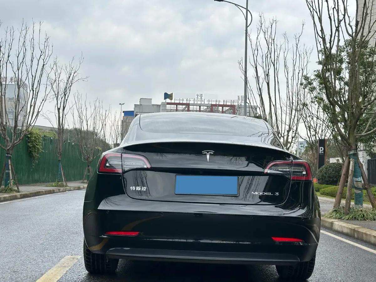 2020 Tesla Model 3 BEV 55KWH,autocango,china used car exporter,china ev exporter,chinese used car exporter,chinese used ev exporter