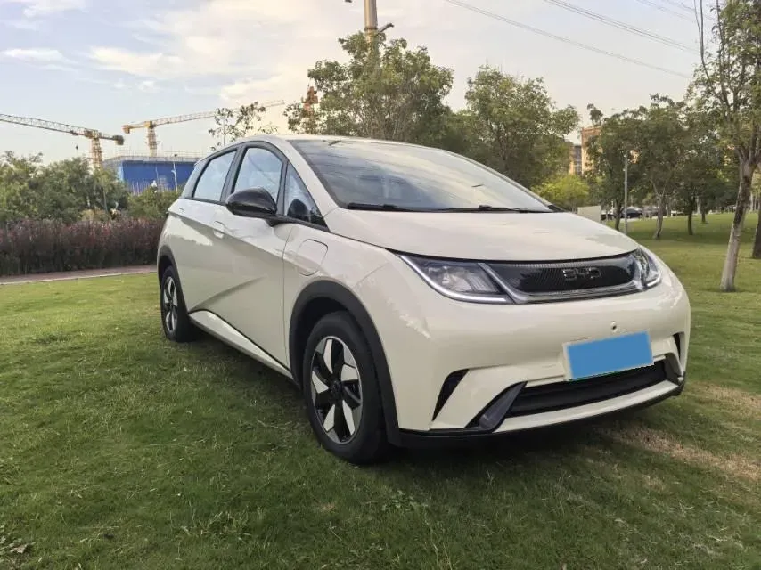 2025 BYD Dolphin BEV 44.928KWH,autocango,china used car exporter,china ev exporter,chinese used car exporter,chinese used ev exporter