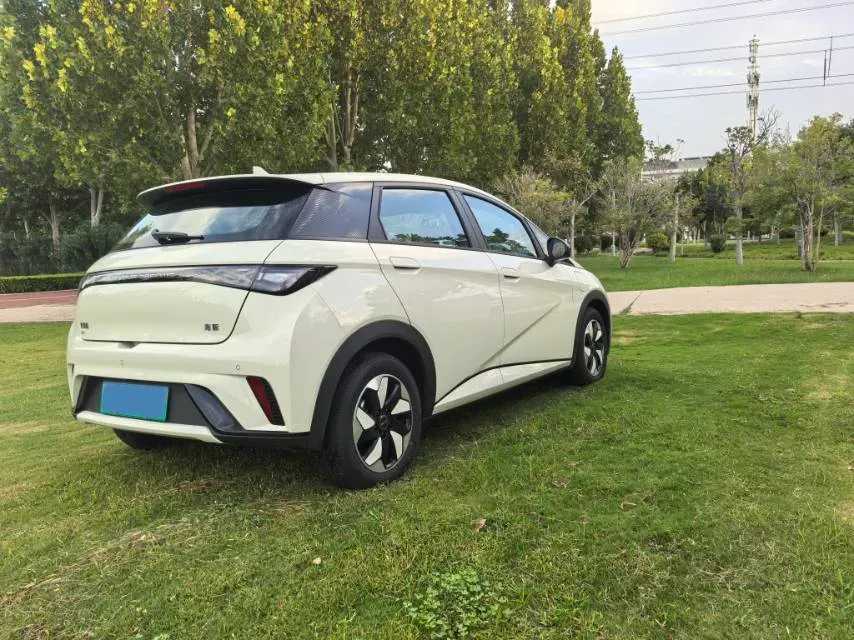 2025 BYD Dolphin BEV 44.928KWH,autocango,china used car exporter,china ev exporter,chinese used car exporter,chinese used ev exporter