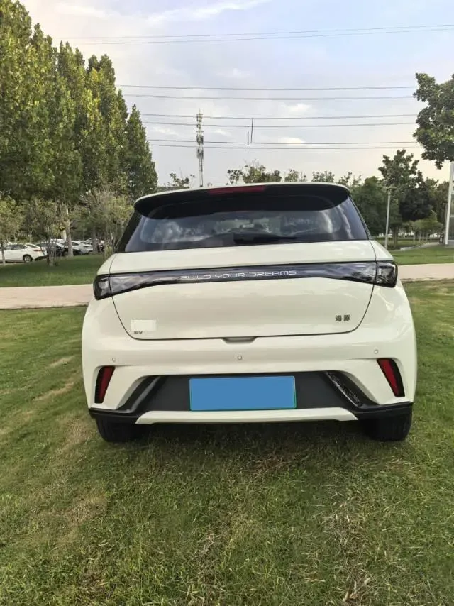 2025 BYD Dolphin BEV 44.928KWH,autocango,china used car exporter,china ev exporter,chinese used car exporter,chinese used ev exporter