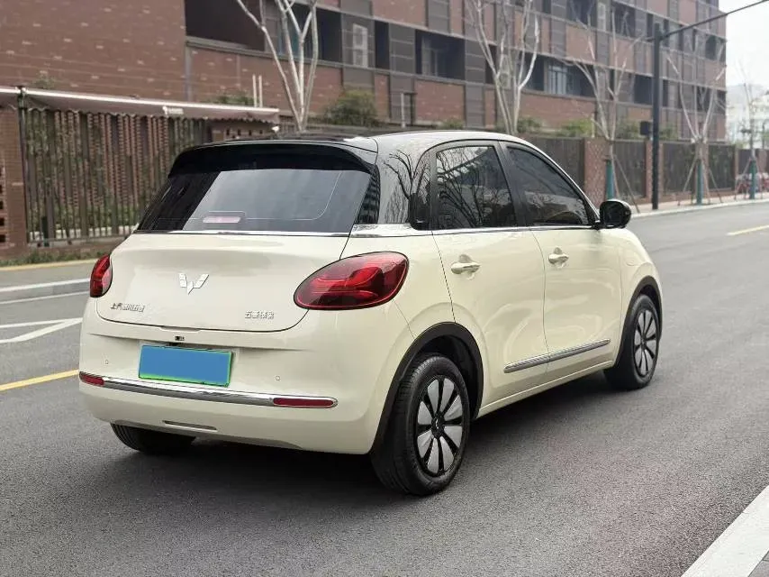 2025 WuLing BinGuo BEV,autocango,china used car exporter,china ev exporter,chinese used car exporter,chinese used ev exporter