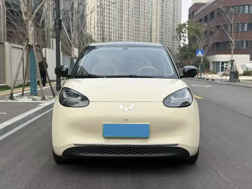 2025 WuLing BinGuo BEV,autocango,china used car exporter,china ev exporter,chinese used car exporter,chinese used ev exporter