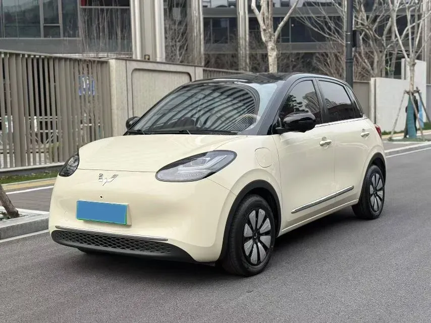 2025 WuLing BinGuo BEV,autocango,china used car exporter,china ev exporter,chinese used car exporter,chinese used ev exporter