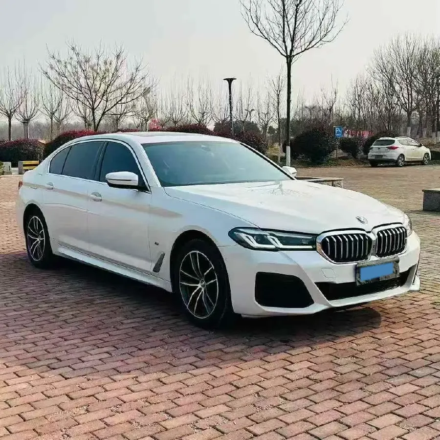 2022 BMW 5 Series 2.0T 184HP L4 8AT,autocango,china used car exporter,china ev exporter,chinese used car exporter,chinese used ev exporter
