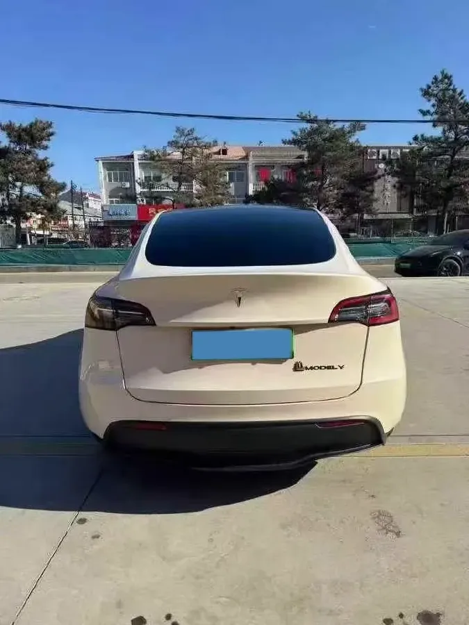 2021 Tesla Model 3 BEV 76.8KWH,autocango,china used car exporter,china ev exporter,chinese used car exporter,chinese used ev exporter