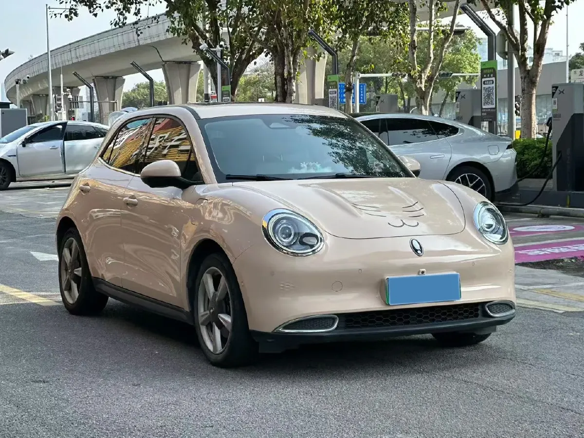2021 Ora FunkyCat BEV 45.99KWH,autocango,china used car exporter,china ev exporter,chinese used car exporter,chinese used ev exporter