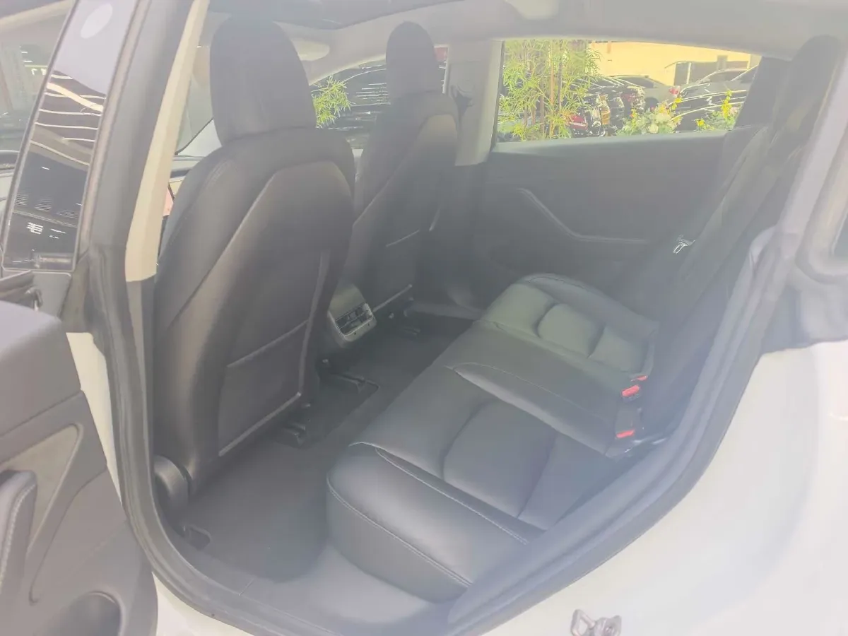 2020 Tesla Model 3 BEV 52KWH,autocango,china used car exporter,china ev exporter,chinese used car exporter,chinese used ev exporter