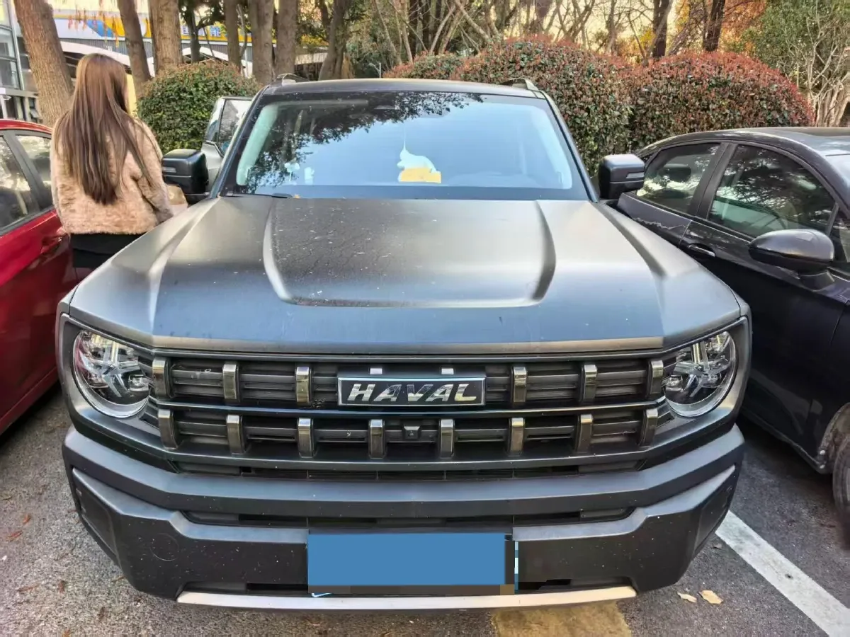 2022 Haval X Dog 1.5T 184HP L4 7DCT,autocango,china used car exporter,china ev exporter,chinese used car exporter,chinese used ev exporter
