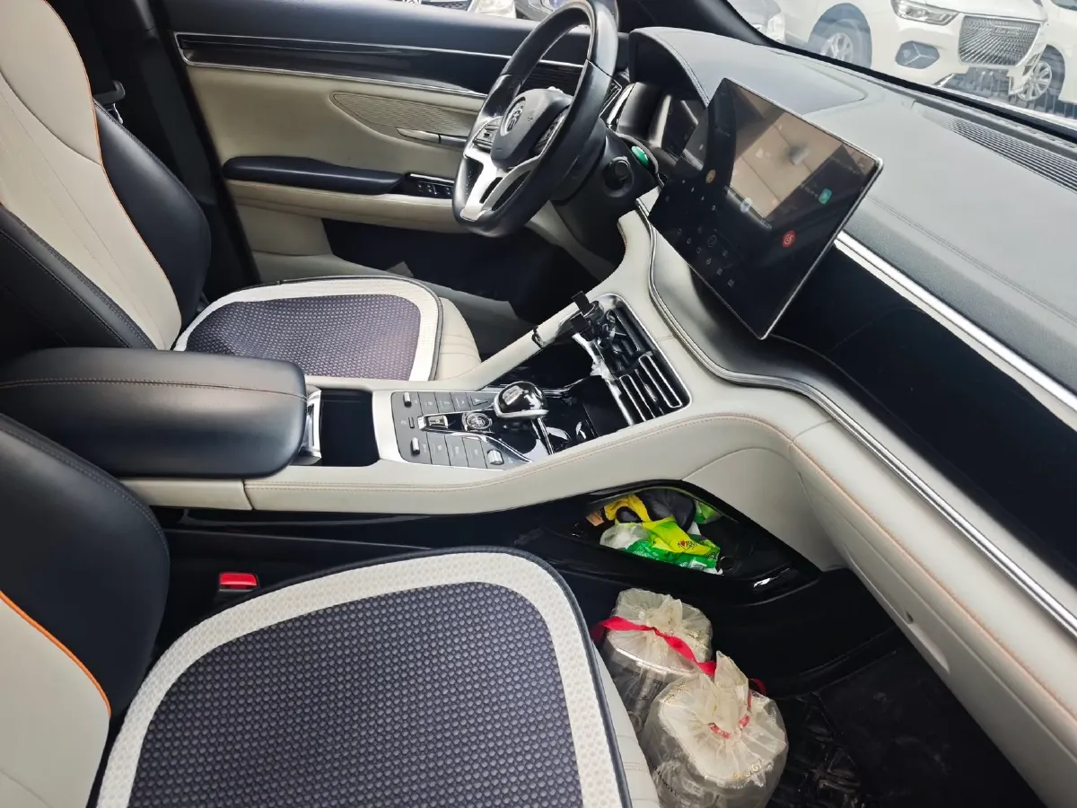 2021 BYD Qin BEV 53.56KWH,autocango,china used car exporter,china ev exporter,chinese used car exporter,chinese used ev exporter