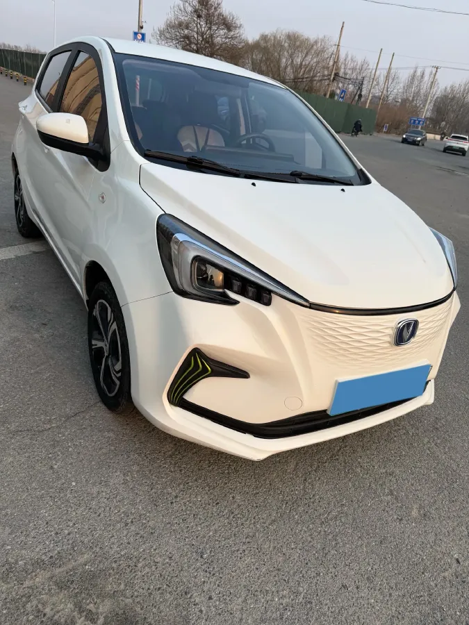 2020 ChangAn BenBen E-Star BEV 32.2KWH,autocango,china used car exporter,china ev exporter,chinese used car exporter,chinese used ev exporter
