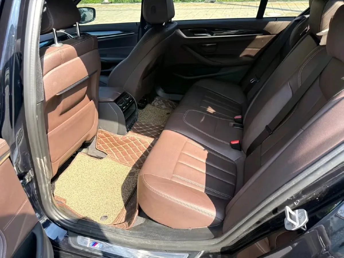 2020 BMW 5 Series 2.0T 184HP L4 8AT,autocango,china used car exporter,china ev exporter,chinese used car exporter,chinese used ev exporter