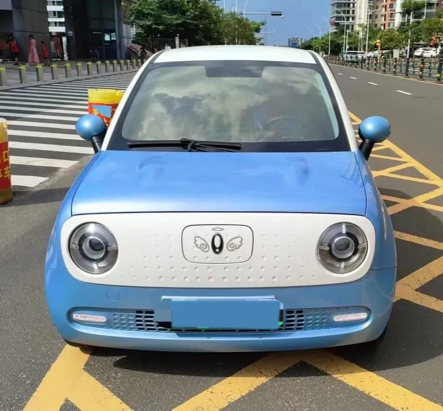 2022 DaYun YueHu BEV 30.66KWH,autocango,china used car exporter,china ev exporter,chinese used car exporter,chinese used ev exporter