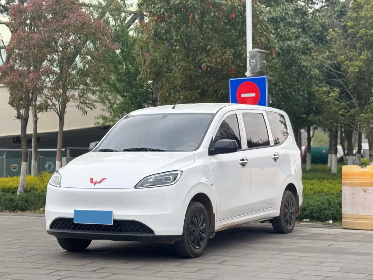 2024 WuLing HongGuang New Energy BEV 32.6KWH,autocango,china used car exporter,china ev exporter,chinese used car exporter,chinese used ev exporter