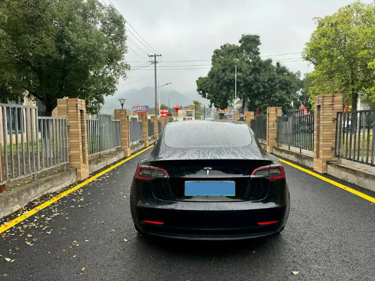 2022 Tesla Model 3 BEV 60KWH,autocango,china used car exporter,china ev exporter,chinese used car exporter,chinese used ev exporter