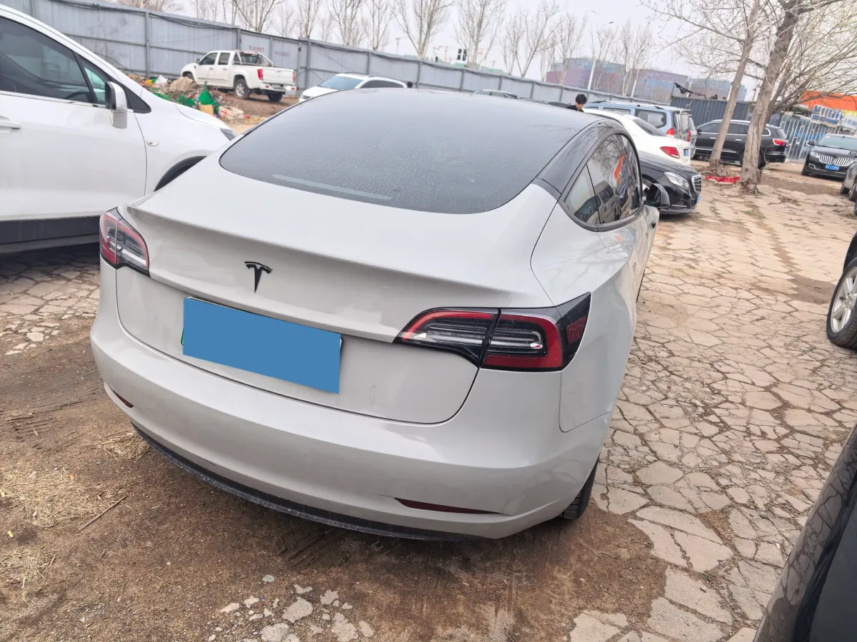 2020 Tesla Model 3 BEV 55KWH,autocango,china used car exporter,china ev exporter,chinese used car exporter,chinese used ev exporter