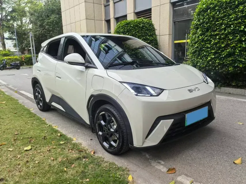 2025 BYD Seagull BEV 30.08KWH,autocango,china used car exporter,china ev exporter,chinese used car exporter,chinese used ev exporter