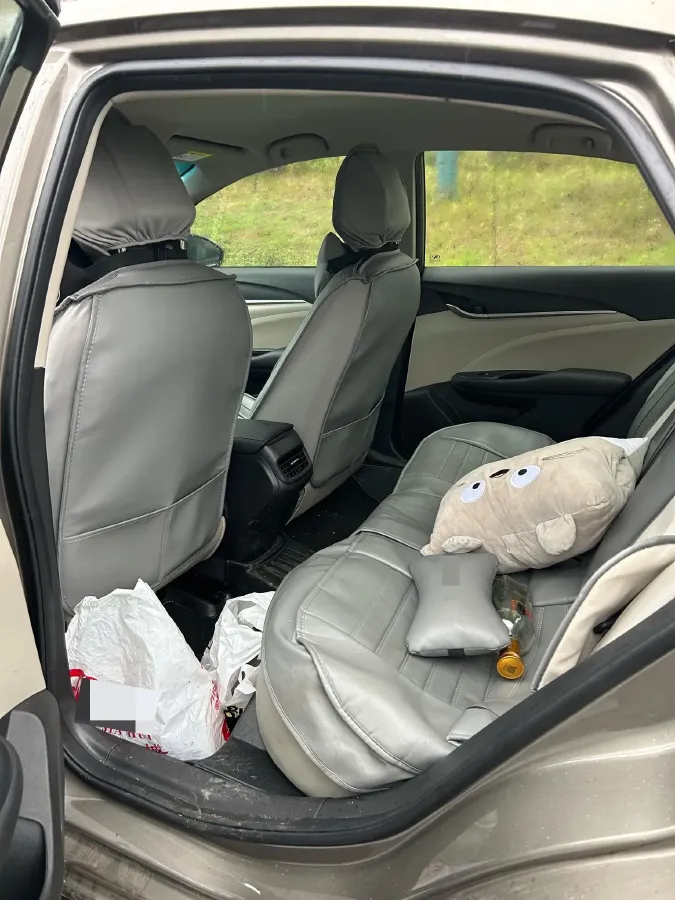 2020 DongFeng Forthing T5 1.5T 156HP L4 6AT,autocango,china used car exporter,china ev exporter,chinese used car exporter,chinese used ev exporter