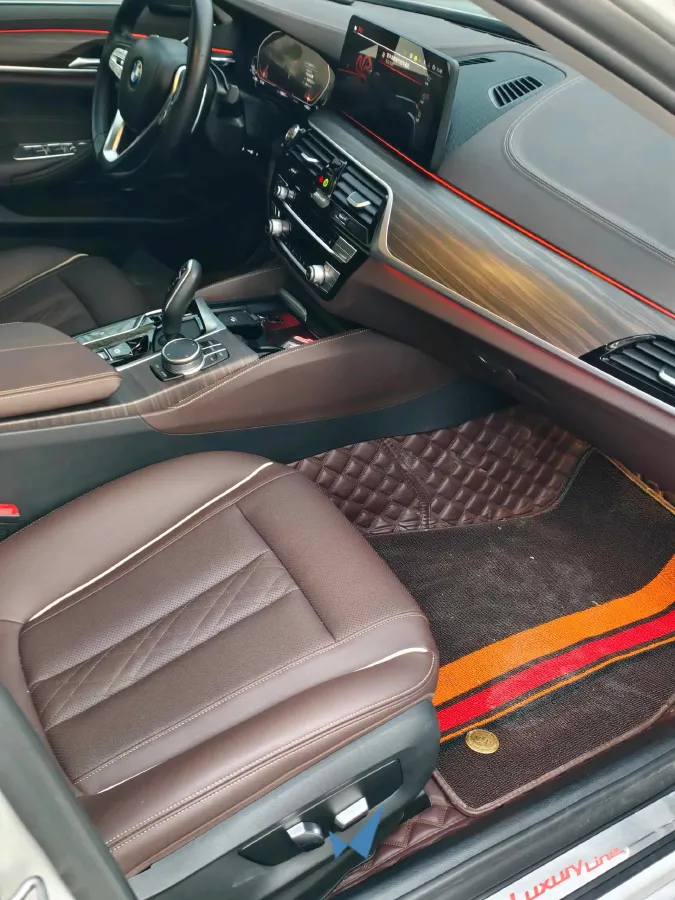 2022 BMW 5 Series 2.0T 252HP L4 8AT,autocango,china used car exporter,china ev exporter,chinese used car exporter,chinese used ev exporter