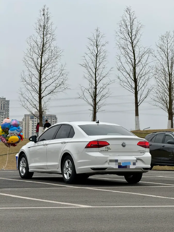 2021 DongFeng Forthing S50EV BEV 57.2KWH,autocango,china used car exporter,china ev exporter,chinese used car exporter,chinese used ev exporter