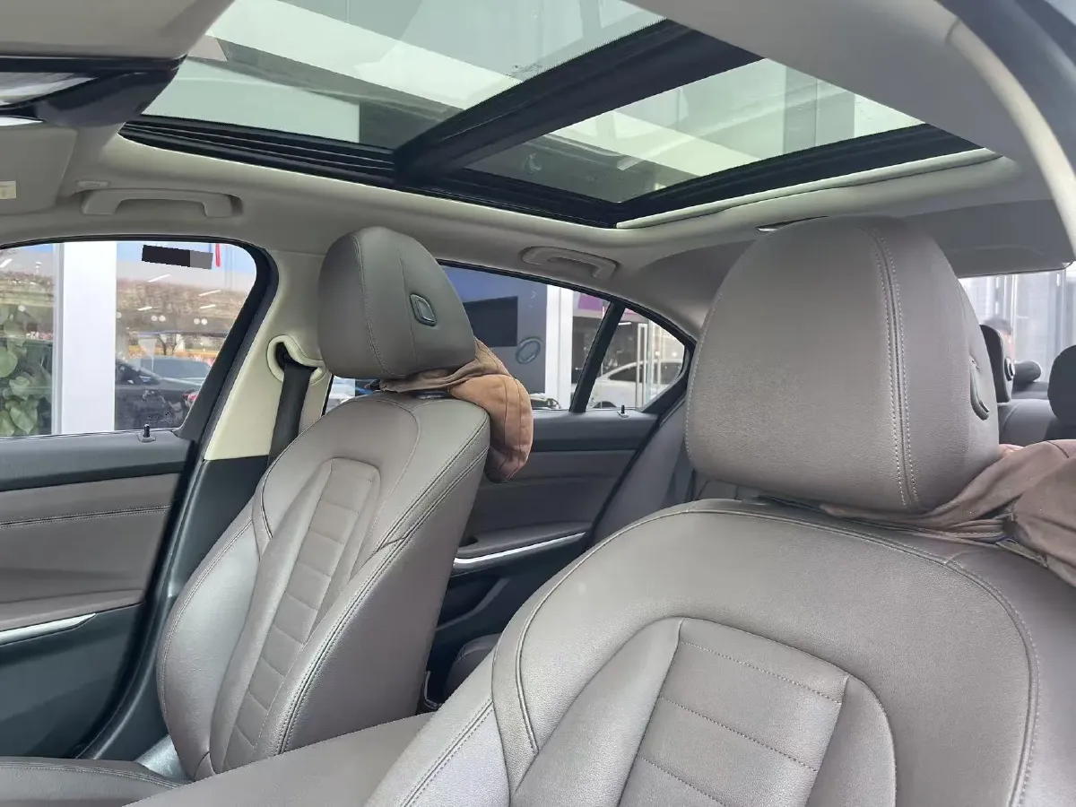 2020 BMW 3 Series 2.0T 184HP L4 8AT,autocango,china used car exporter,china ev exporter,chinese used car exporter,chinese used ev exporter