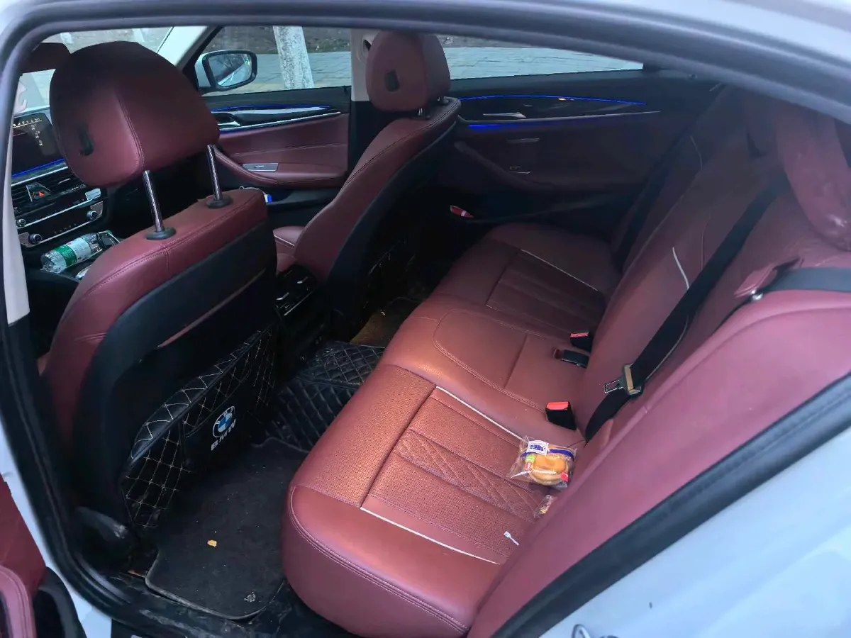 2021 BMW 5 Series 2.0T 184HP L4 8AT,autocango,china used car exporter,china ev exporter,chinese used car exporter,chinese used ev exporter