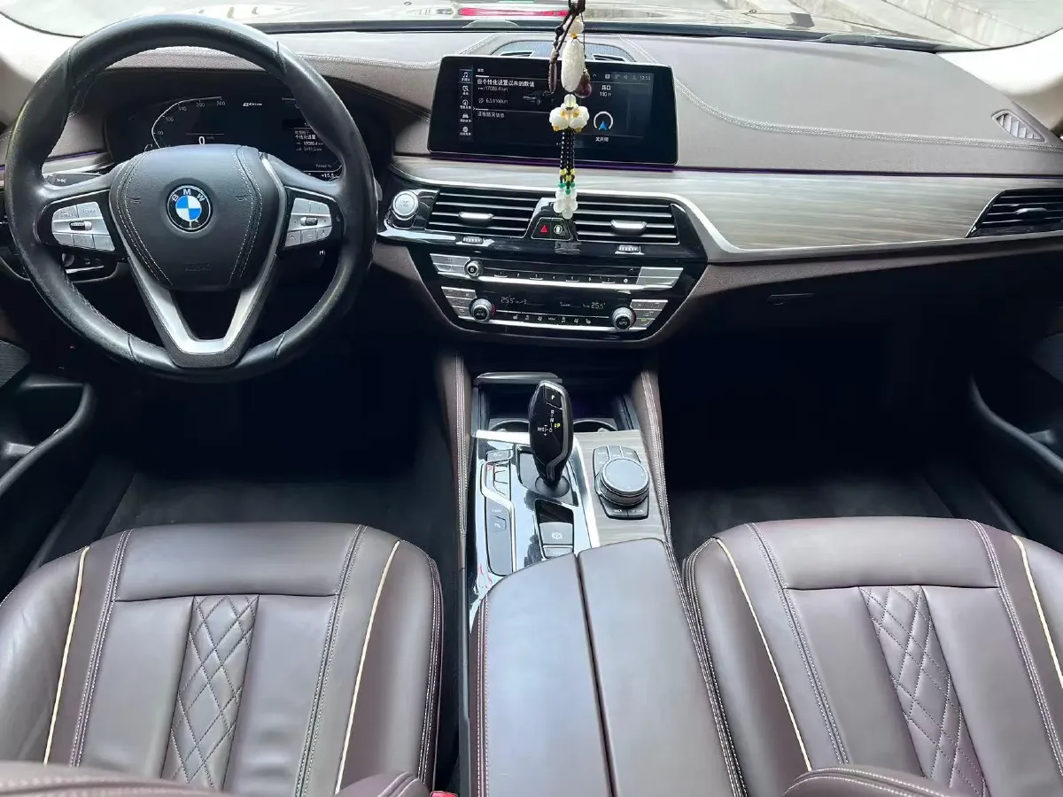 2020 BMW 5 Series 2.0T 184HP L4 8AT PHEV 17.7KWH,autocango,china used car exporter,china ev exporter,chinese used car exporter,chinese used ev exporter