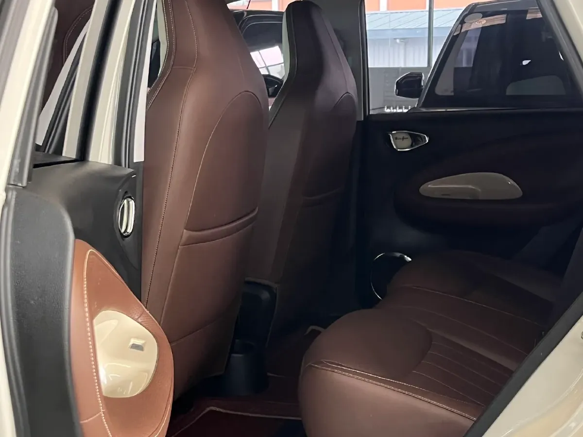 2024 WuLing BinGuo BEV 37.9KWH,autocango,china used car exporter,china ev exporter,chinese used car exporter,chinese used ev exporter