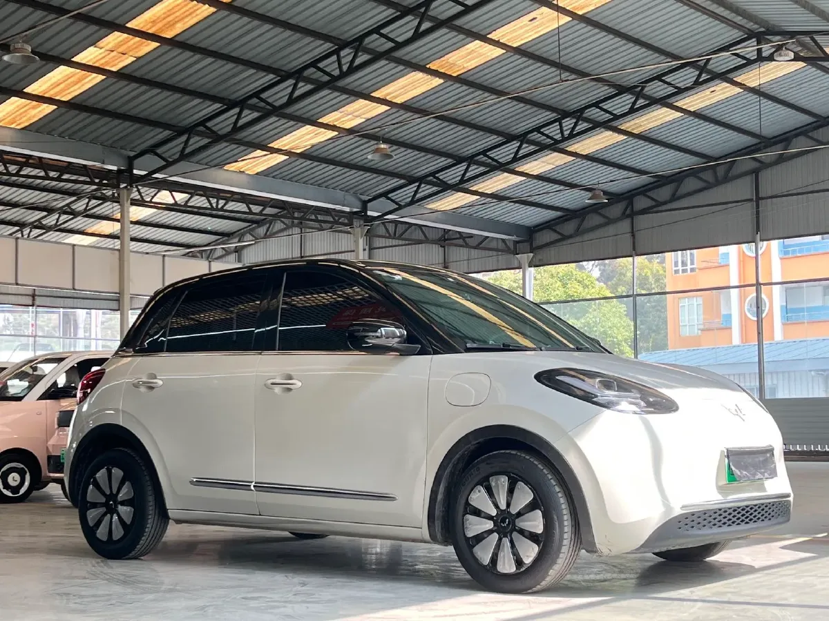 2024 WuLing BinGuo BEV 37.9KWH,autocango,china used car exporter,china ev exporter,chinese used car exporter,chinese used ev exporter
