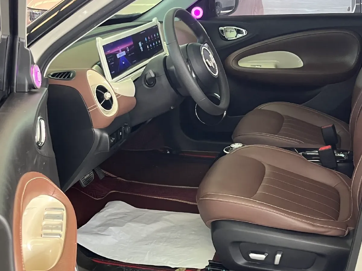 2024 WuLing BinGuo BEV 37.9KWH,autocango,china used car exporter,china ev exporter,chinese used car exporter,chinese used ev exporter