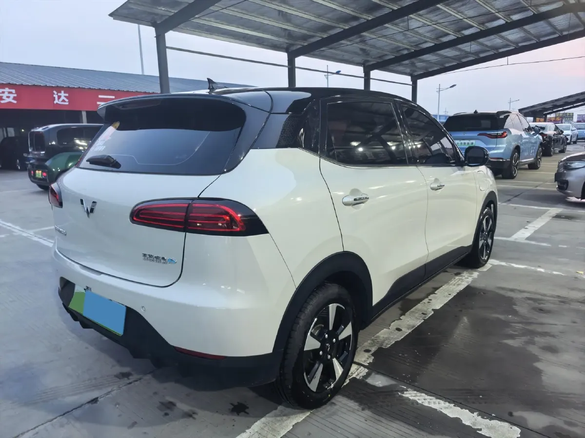 2024 WuLing BinGuoPLUS BEV 31.9KWH,autocango,china used car exporter,china ev exporter,chinese used car exporter,chinese used ev exporter