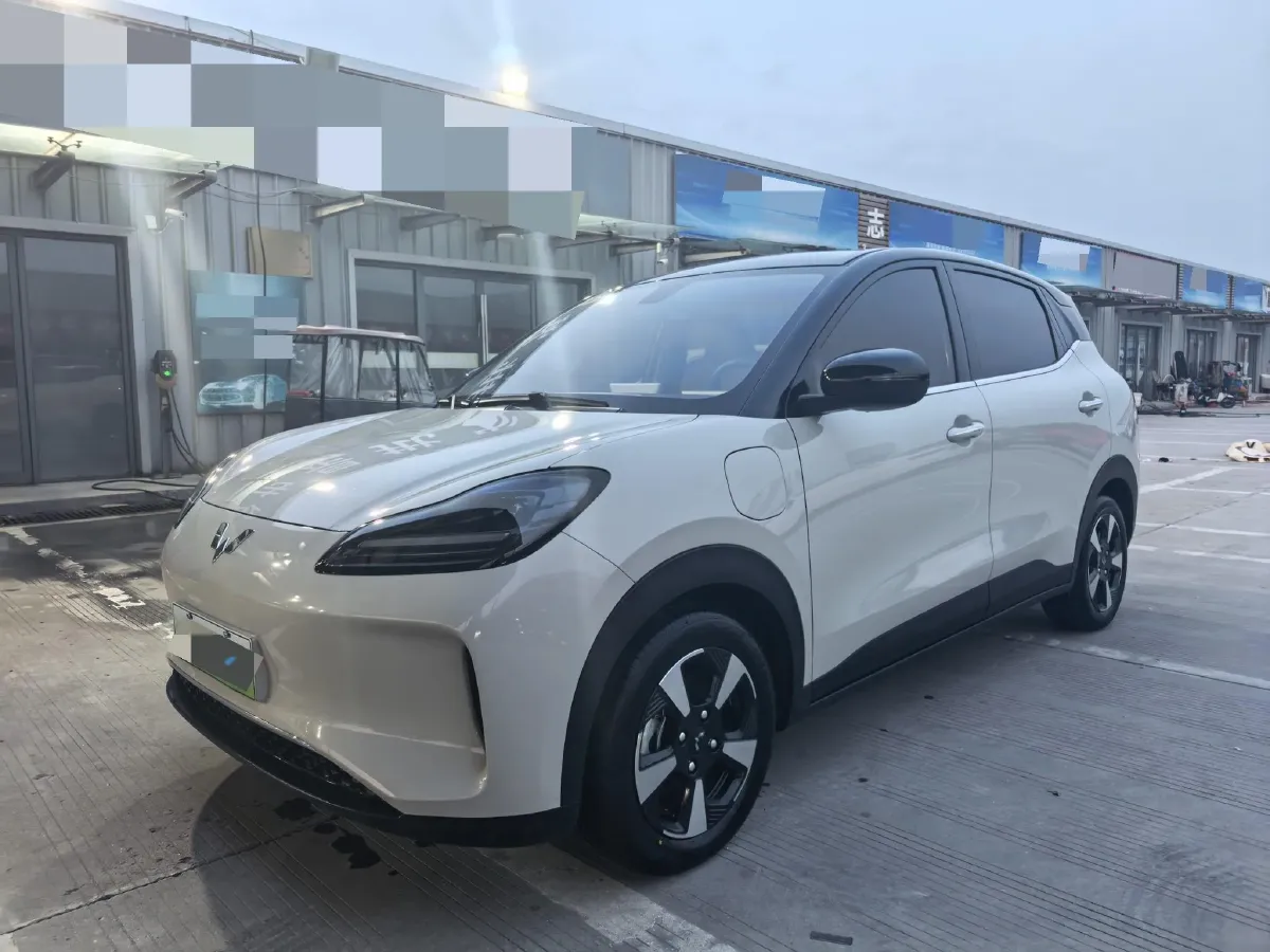 2024 WuLing BinGuoPLUS BEV 31.9KWH,autocango,china used car exporter,china ev exporter,chinese used car exporter,chinese used ev exporter