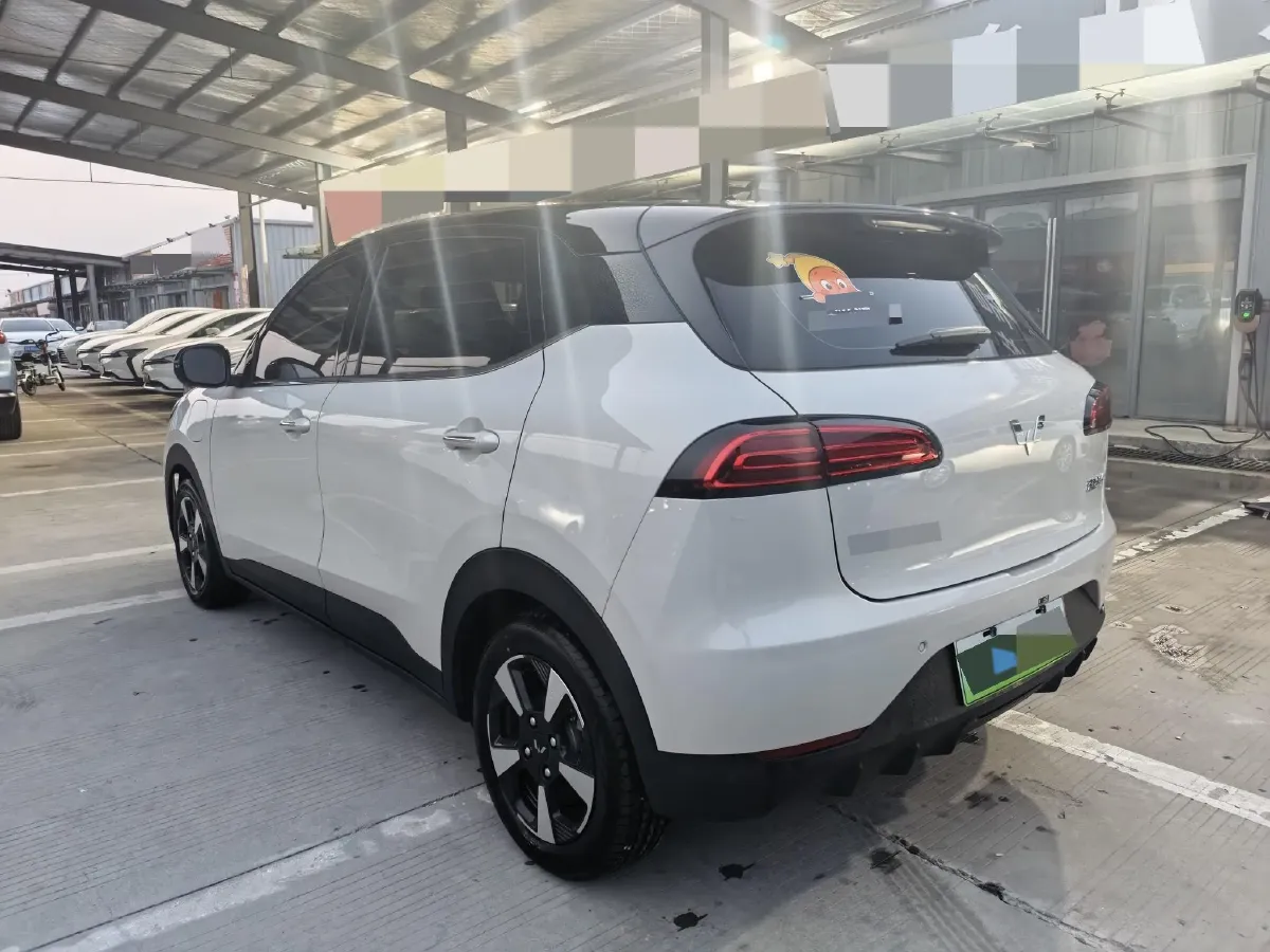 2024 WuLing BinGuoPLUS BEV 31.9KWH,autocango,china used car exporter,china ev exporter,chinese used car exporter,chinese used ev exporter