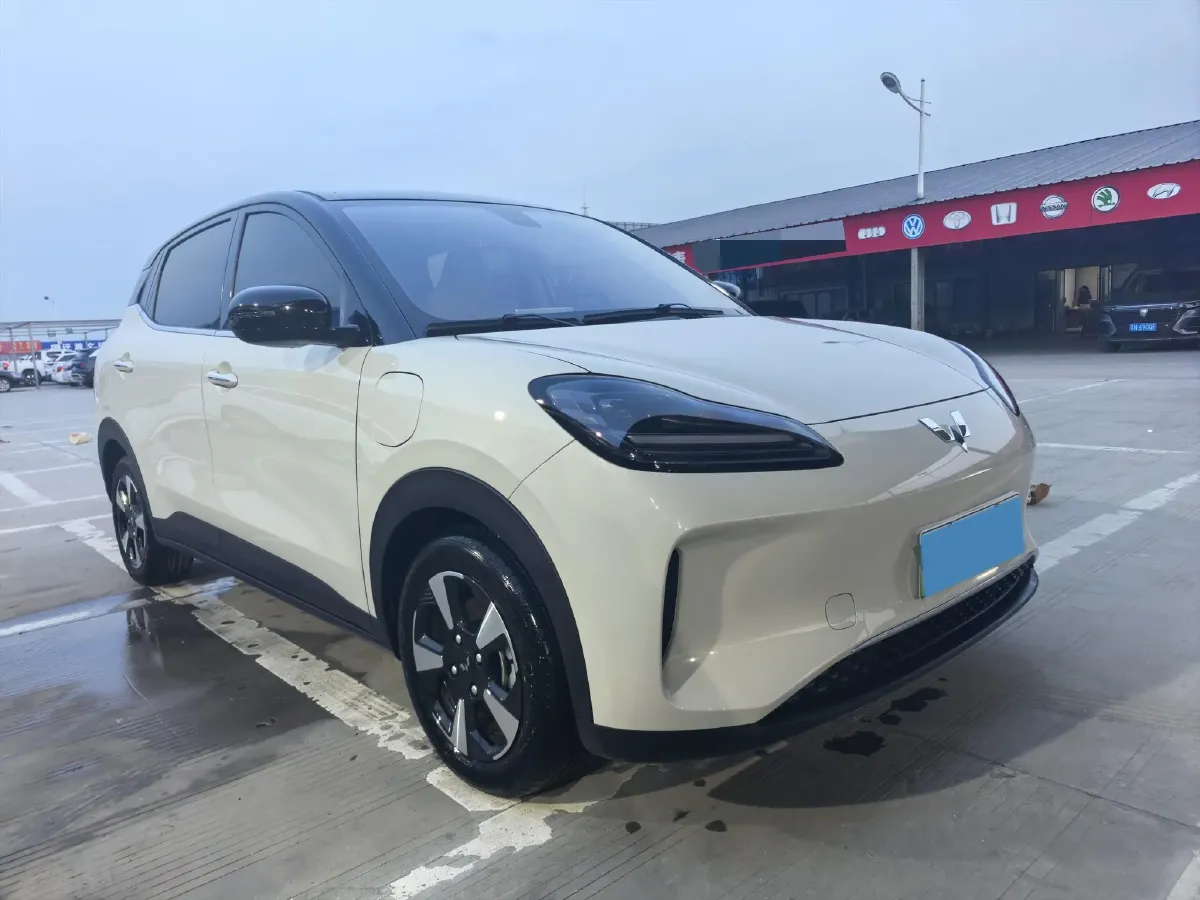 2024 WuLing BinGuoPLUS BEV 31.9KWH,autocango,china used car exporter,china ev exporter,chinese used car exporter,chinese used ev exporter