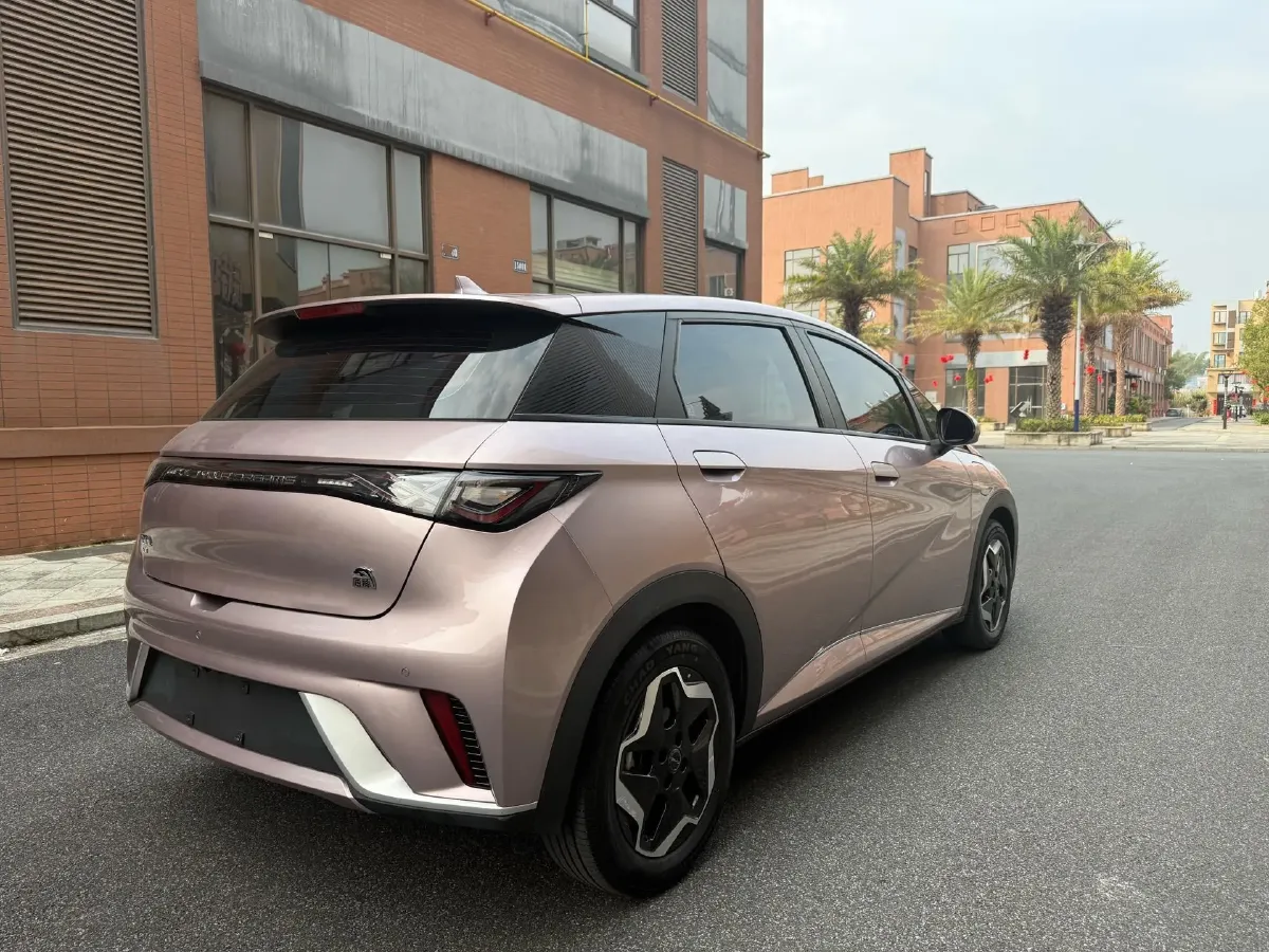 2021 BYD Yuan Pro BEV 50.1KWH,autocango,china used car exporter,china ev exporter,chinese used car exporter,chinese used ev exporter