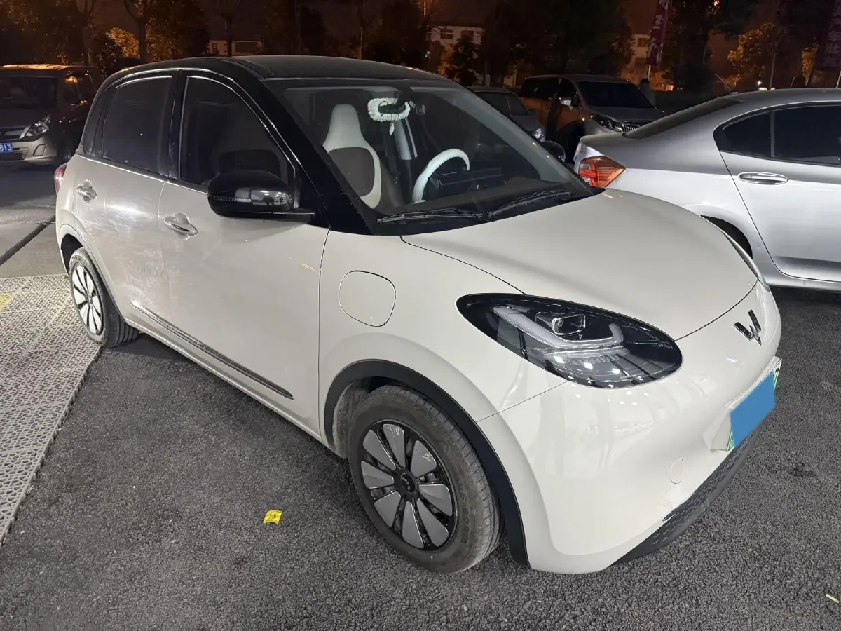 2024 WuLing BinGuo BEV 31.9KWH,autocango,china used car exporter,china ev exporter,chinese used car exporter,chinese used ev exporter