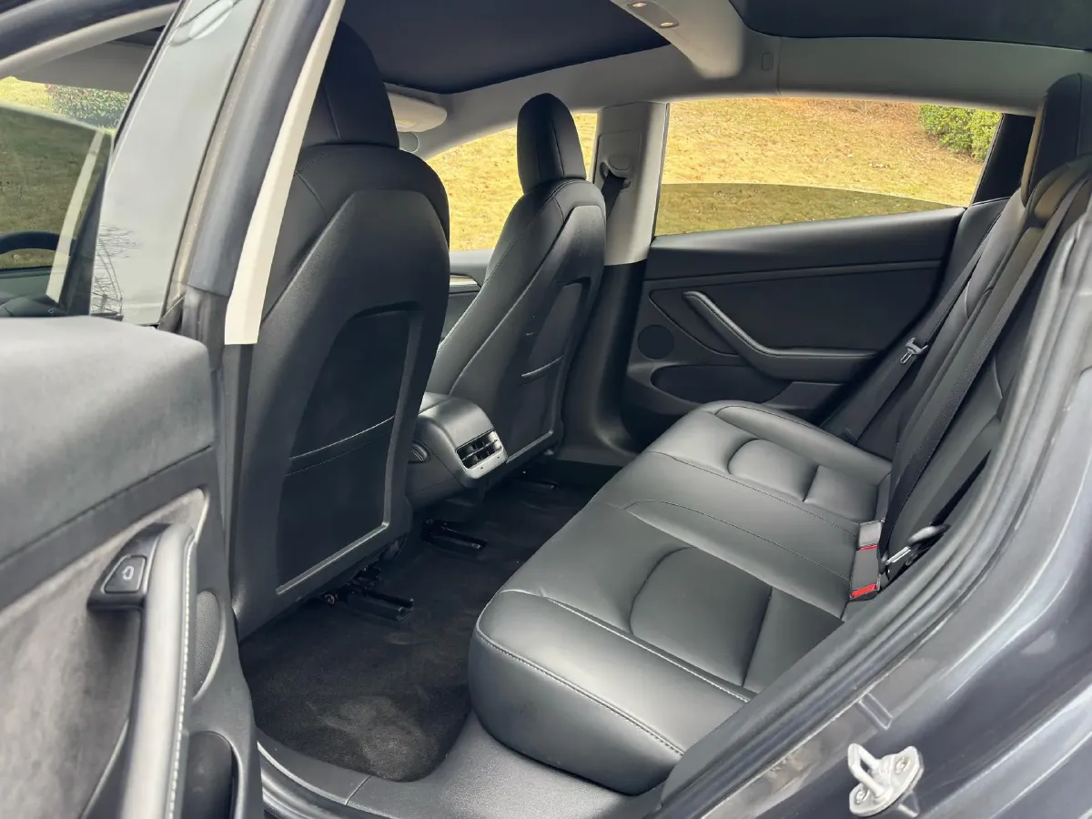 2021 Tesla Model 3 BEV 55KWH,autocango,china used car exporter,china ev exporter,chinese used car exporter,chinese used ev exporter