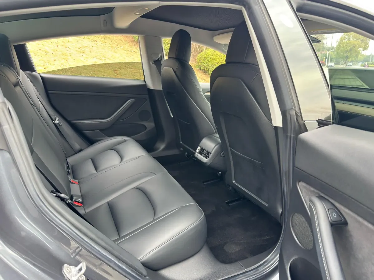 2021 Tesla Model 3 BEV 55KWH,autocango,china used car exporter,china ev exporter,chinese used car exporter,chinese used ev exporter