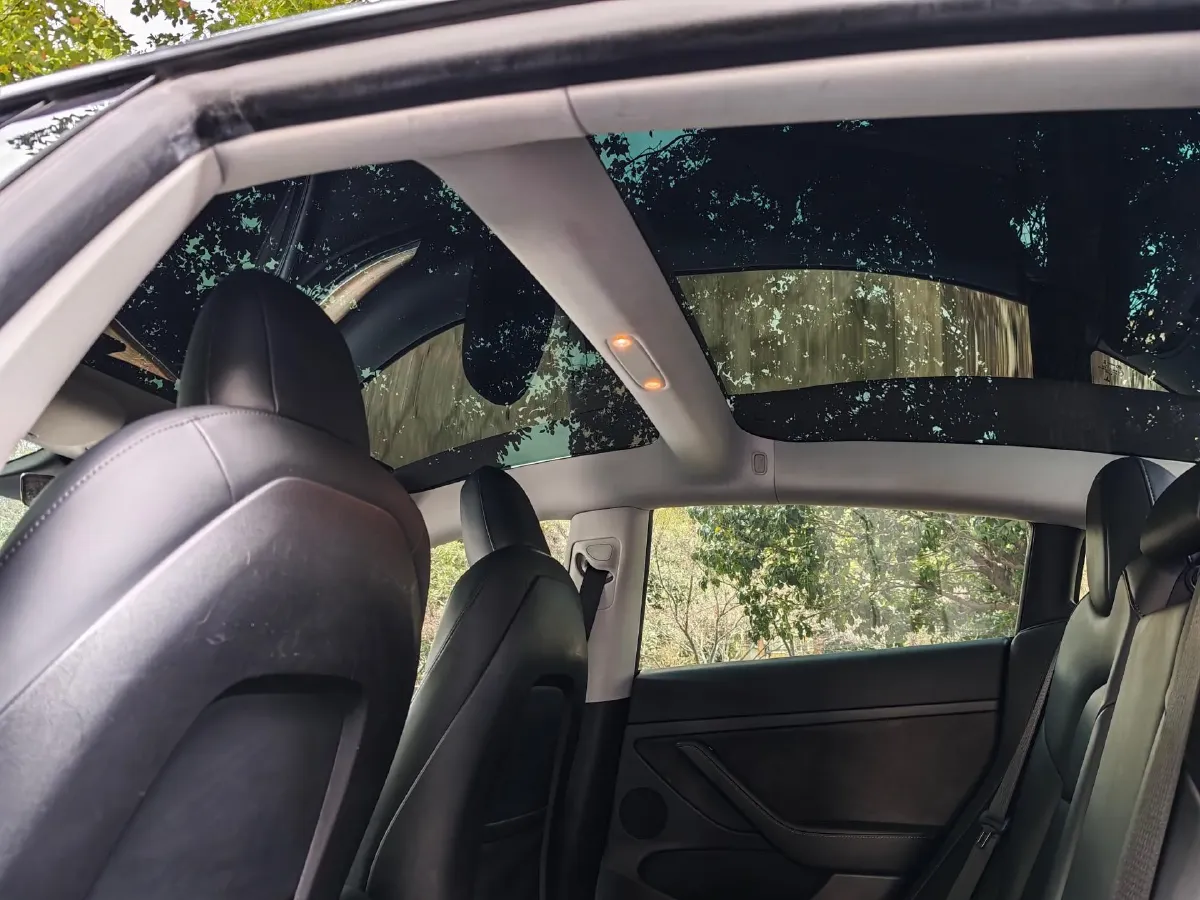 2021 Tesla Model 3 BEV 55KWH,autocango,china used car exporter,china ev exporter,chinese used car exporter,chinese used ev exporter