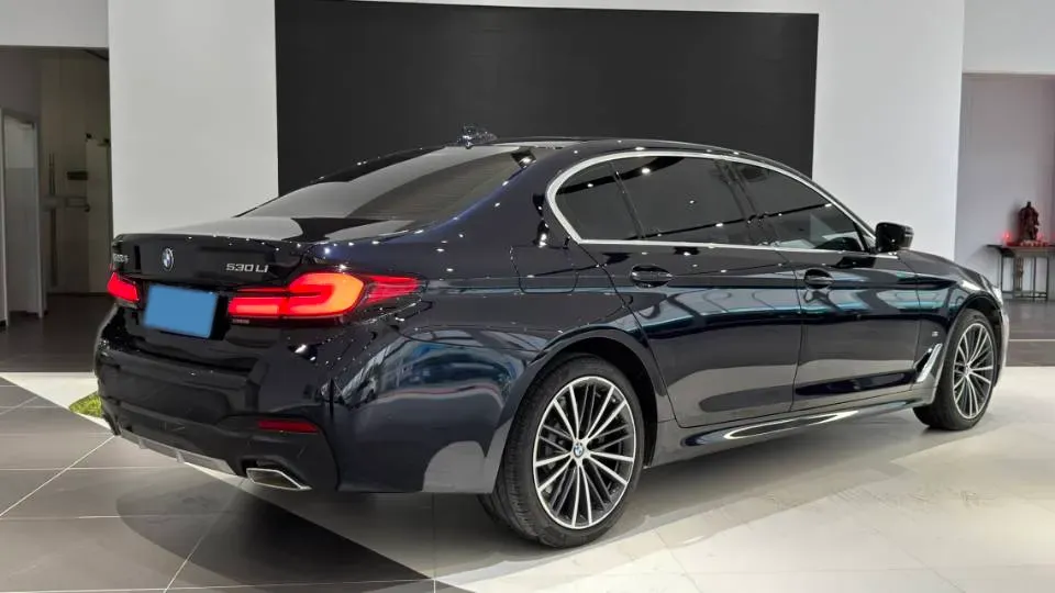 2022 BMW 5 Series 2.0T 252HP L4 8AT,autocango,china used car exporter,china ev exporter,chinese used car exporter,chinese used ev exporter