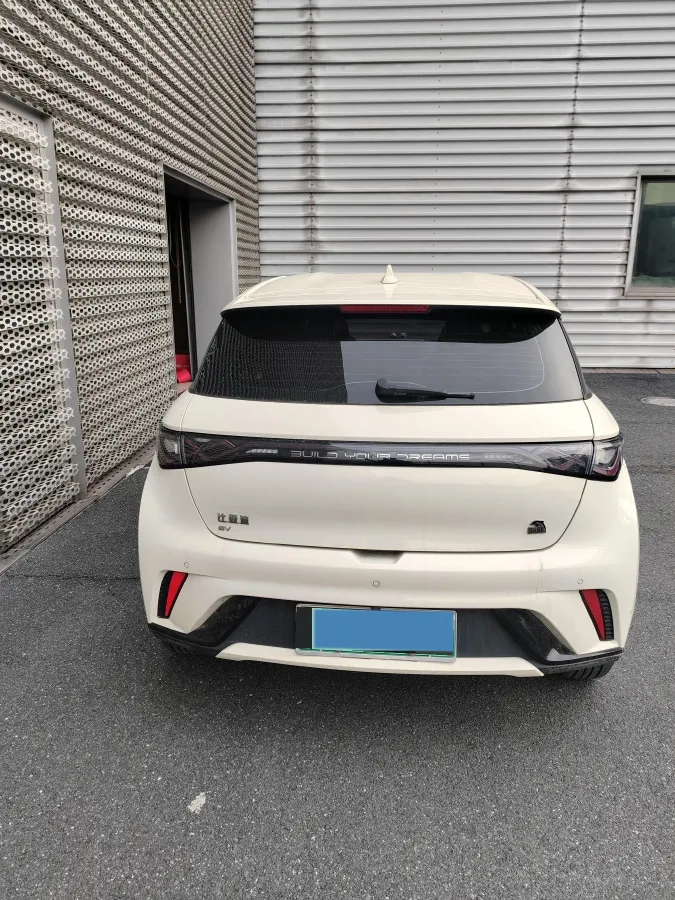 2023 BYD Dolphin BEV 44.928KWH,autocango,china used car exporter,china ev exporter,chinese used car exporter,chinese used ev exporter