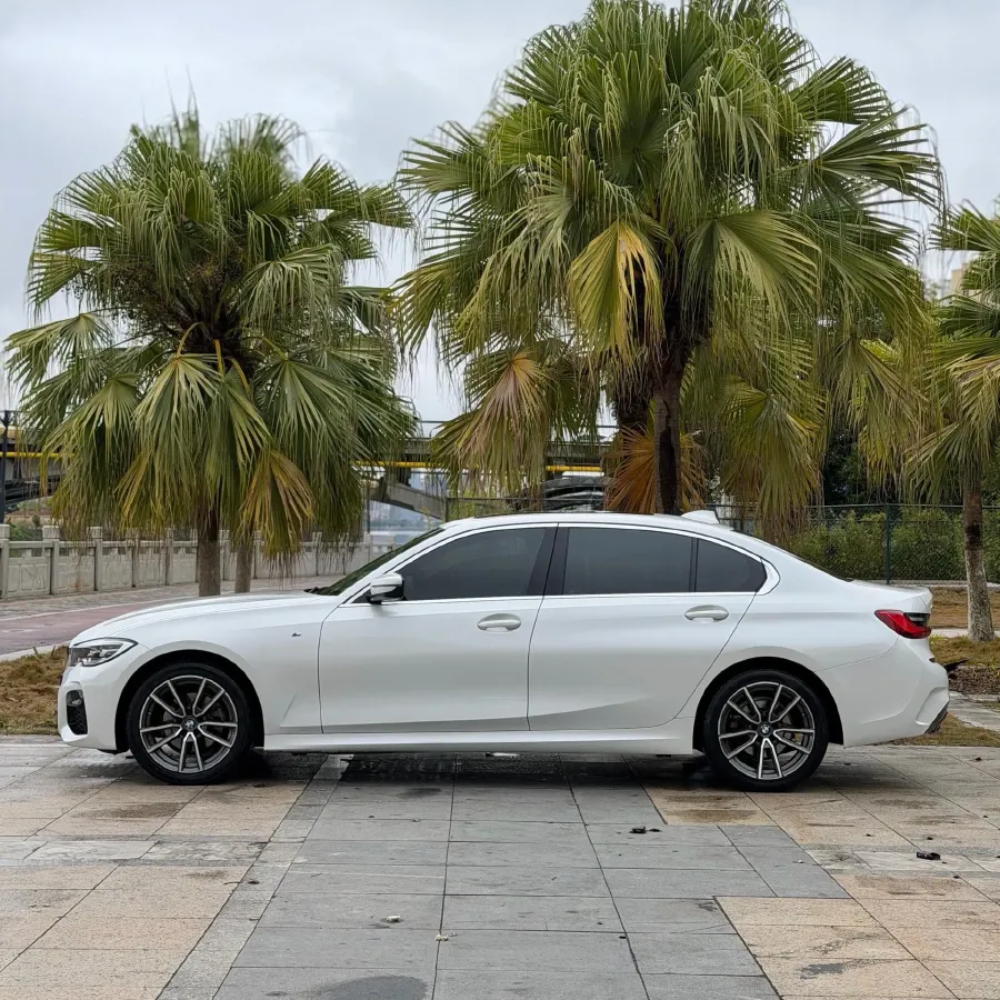 2021 BMW 3 Series 2.0T 156HP L4 8AT,autocango,china used car exporter,china ev exporter,chinese used car exporter,chinese used ev exporter