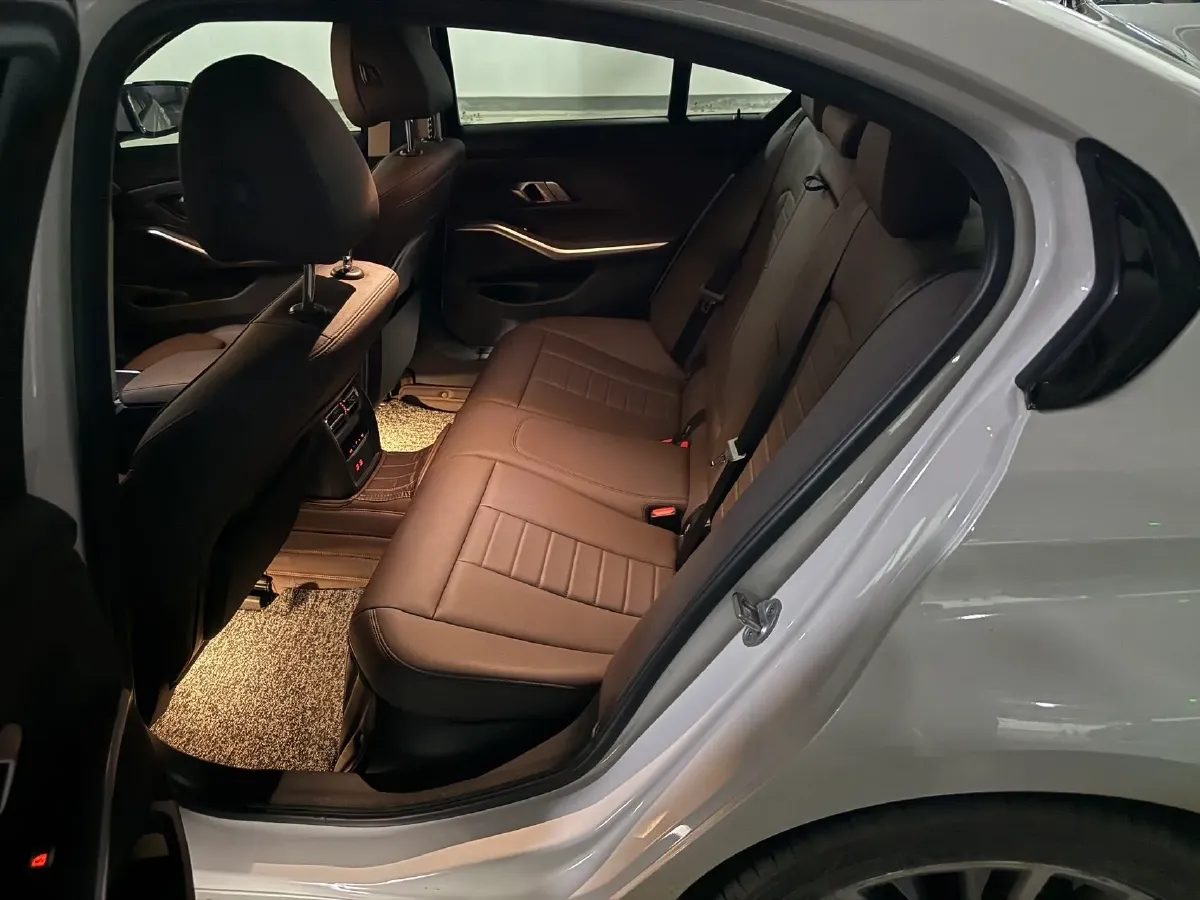 2020 BMW 3 Series 2.0T 156HP L4 8AT,autocango,china used car exporter,china ev exporter,chinese used car exporter,chinese used ev exporter