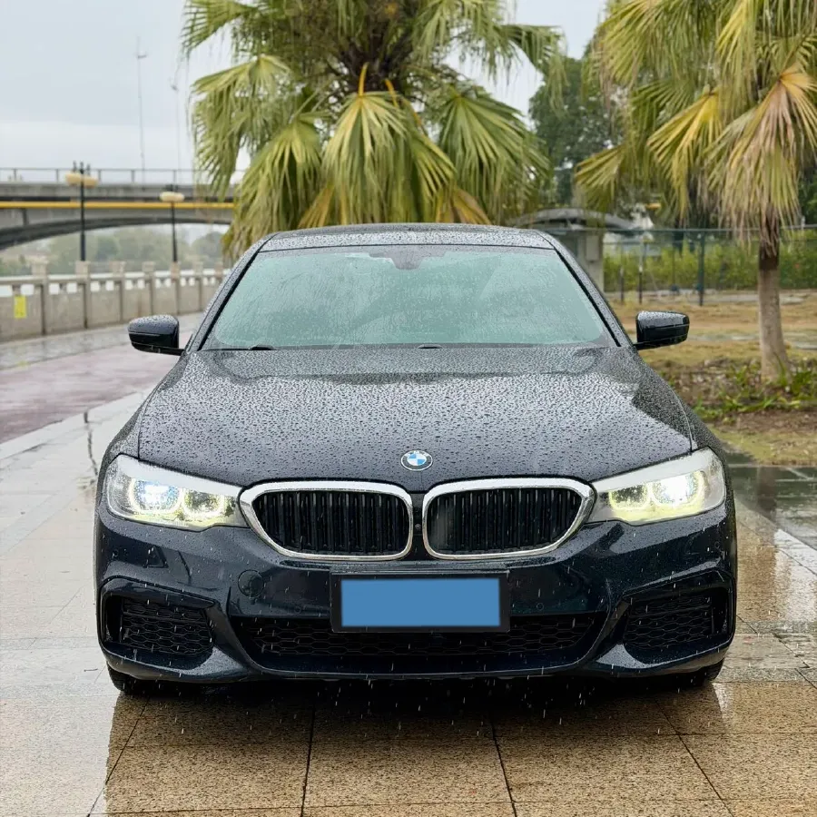 2020 BMW 5 Series 2.0T 184HP L4 8AT,autocango,china used car exporter,china ev exporter,chinese used car exporter,chinese used ev exporter