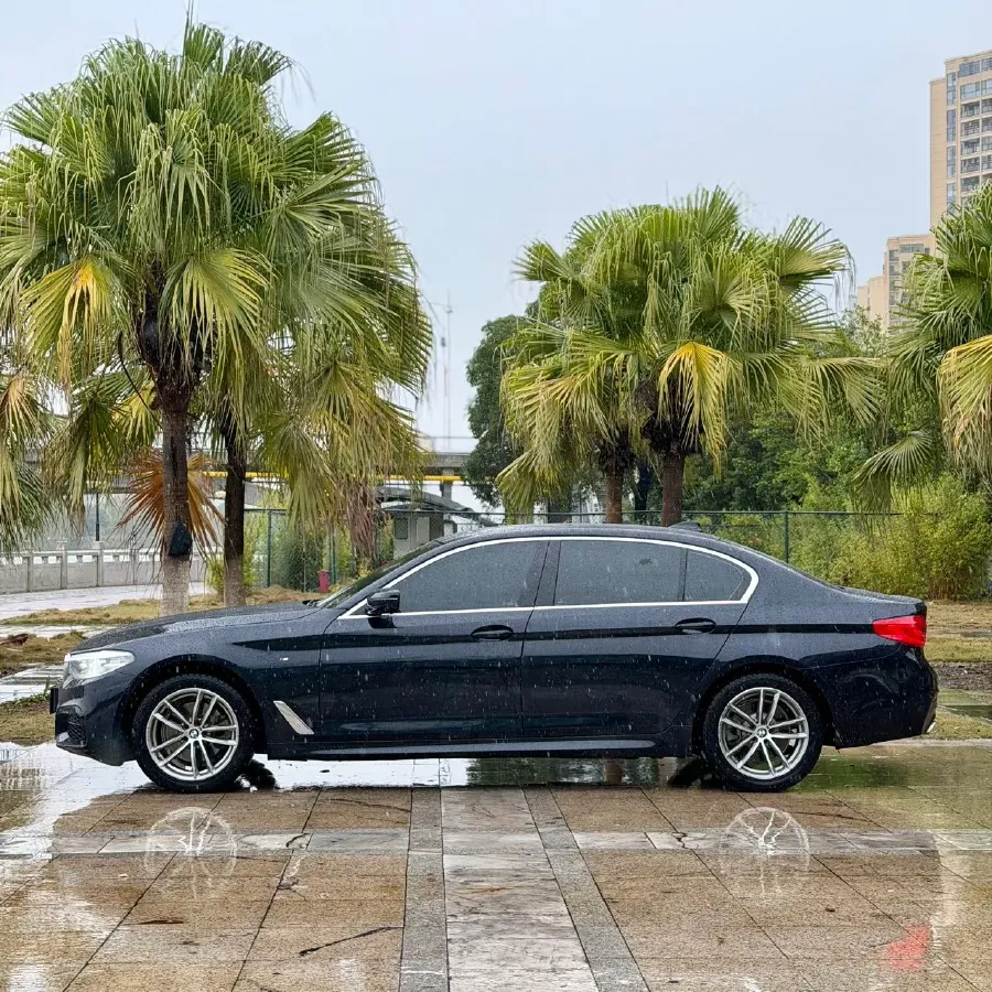 2020 BMW 5 Series 2.0T 184HP L4 8AT,autocango,china used car exporter,china ev exporter,chinese used car exporter,chinese used ev exporter