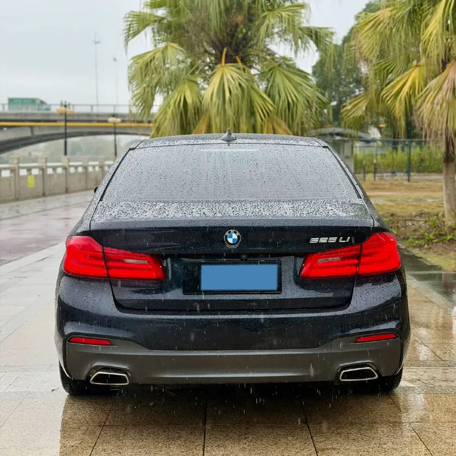 2020 BMW 5 Series 2.0T 184HP L4 8AT,autocango,china used car exporter,china ev exporter,chinese used car exporter,chinese used ev exporter